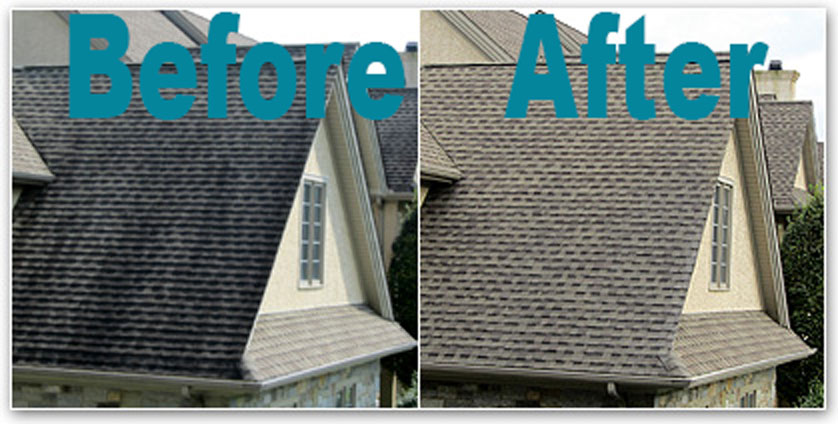 Do Annual Roof Cleanings Make Your Roof Last Longer?