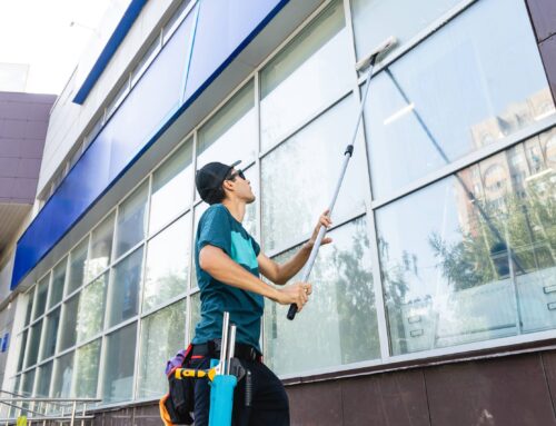 The Surprising Benefits of Clean Windows